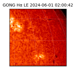 gong - 2024-06-01T02:00:42