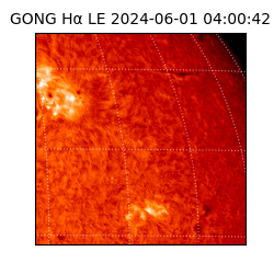 gong - 2024-06-01T04:00:42