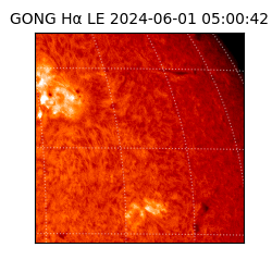 gong - 2024-06-01T05:00:42