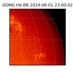 gong - 2024-06-01T23:00:02