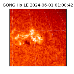 gong - 2024-06-01T01:00:42