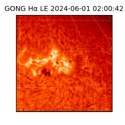 gong - 2024-06-01T02:00:42