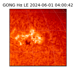 gong - 2024-06-01T04:00:42