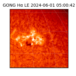 gong - 2024-06-01T05:00:42