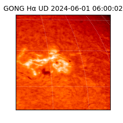 gong - 2024-06-01T06:00:02