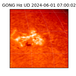 gong - 2024-06-01T07:00:02