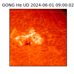 gong - 2024-06-01T09:00:02