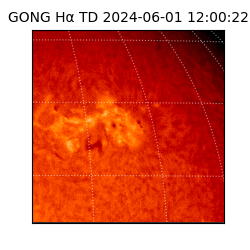 gong - 2024-06-01T12:00:22