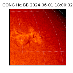 gong - 2024-06-01T18:00:02