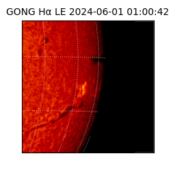 gong - 2024-06-01T01:00:42