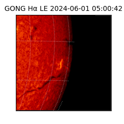 gong - 2024-06-01T05:00:42