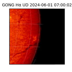 gong - 2024-06-01T07:00:02