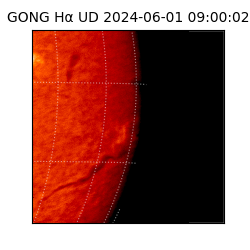 gong - 2024-06-01T09:00:02