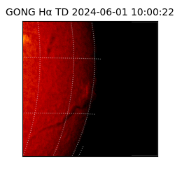 gong - 2024-06-01T10:00:22