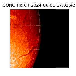 gong - 2024-06-01T17:02:42