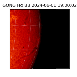 gong - 2024-06-01T19:00:02