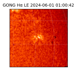 gong - 2024-06-01T01:00:42