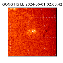 gong - 2024-06-01T02:00:42