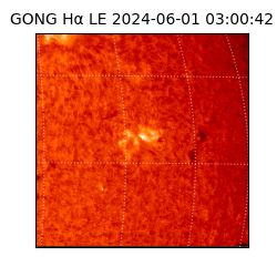 gong - 2024-06-01T03:00:42