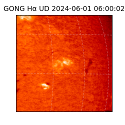 gong - 2024-06-01T06:00:02