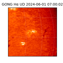 gong - 2024-06-01T07:00:02