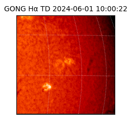 gong - 2024-06-01T10:00:22