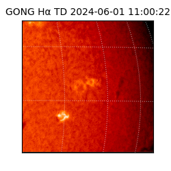 gong - 2024-06-01T11:00:22