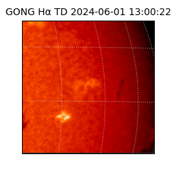 gong - 2024-06-01T13:00:22