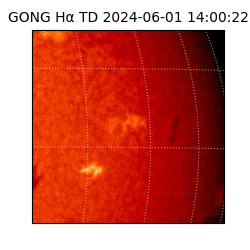 gong - 2024-06-01T14:00:22