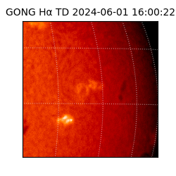 gong - 2024-06-01T16:00:22