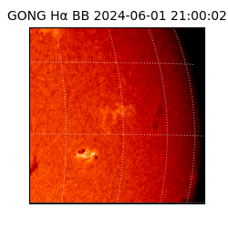 gong - 2024-06-01T21:00:02