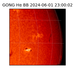 gong - 2024-06-01T23:00:02