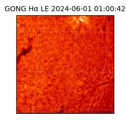 gong - 2024-06-01T01:00:42