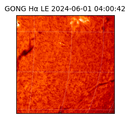 gong - 2024-06-01T04:00:42