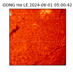 gong - 2024-06-01T05:00:42