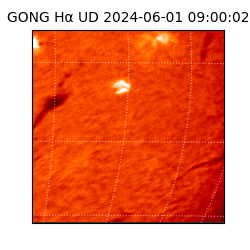 gong - 2024-06-01T09:00:02