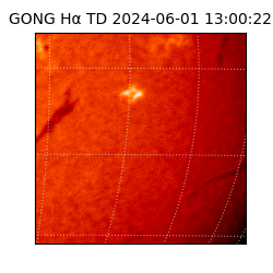 gong - 2024-06-01T13:00:22