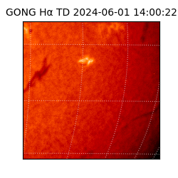 gong - 2024-06-01T14:00:22