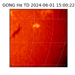 gong - 2024-06-01T15:00:22