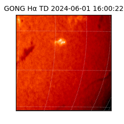 gong - 2024-06-01T16:00:22