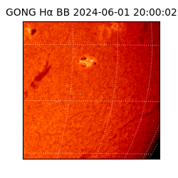 gong - 2024-06-01T20:00:02