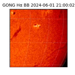 gong - 2024-06-01T21:00:02