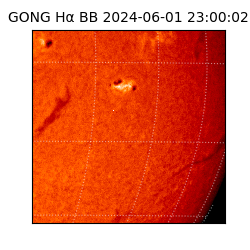 gong - 2024-06-01T23:00:02