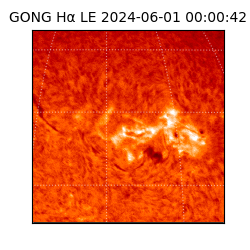 gong - 2024-06-01T00:00:42