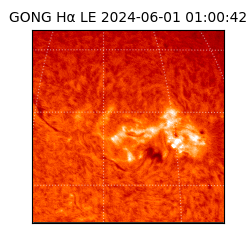 gong - 2024-06-01T01:00:42