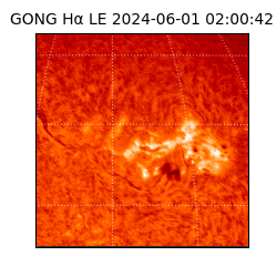 gong - 2024-06-01T02:00:42