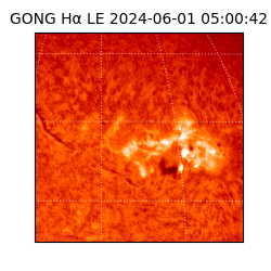 gong - 2024-06-01T05:00:42