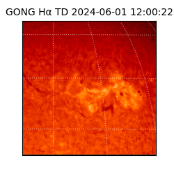 gong - 2024-06-01T12:00:22