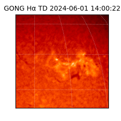 gong - 2024-06-01T14:00:22