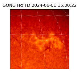 gong - 2024-06-01T15:00:22